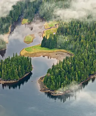 Gib dich der Natur des grössten Nationalforstes des Landes hin